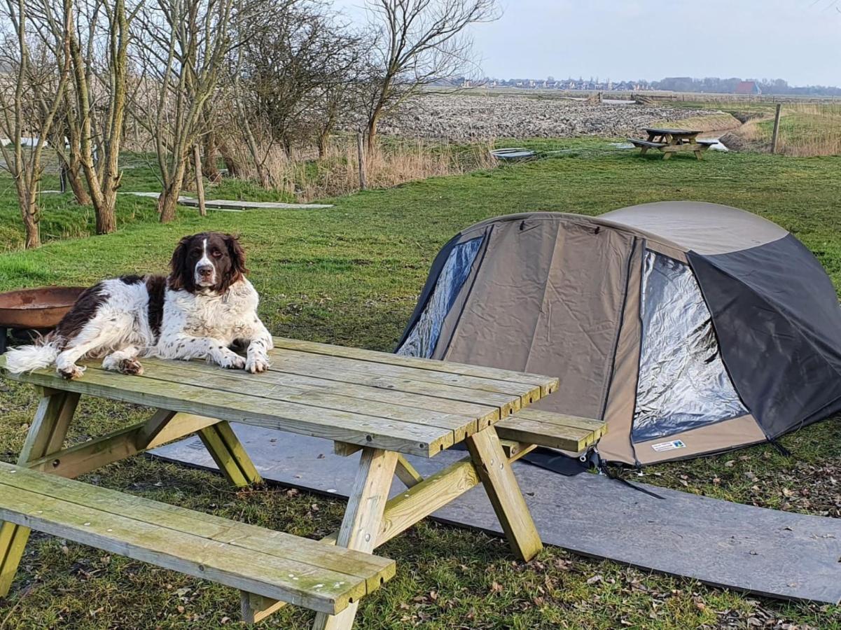 Basic 2P Tent Sotterum Hotel Kornwerd Exterior photo