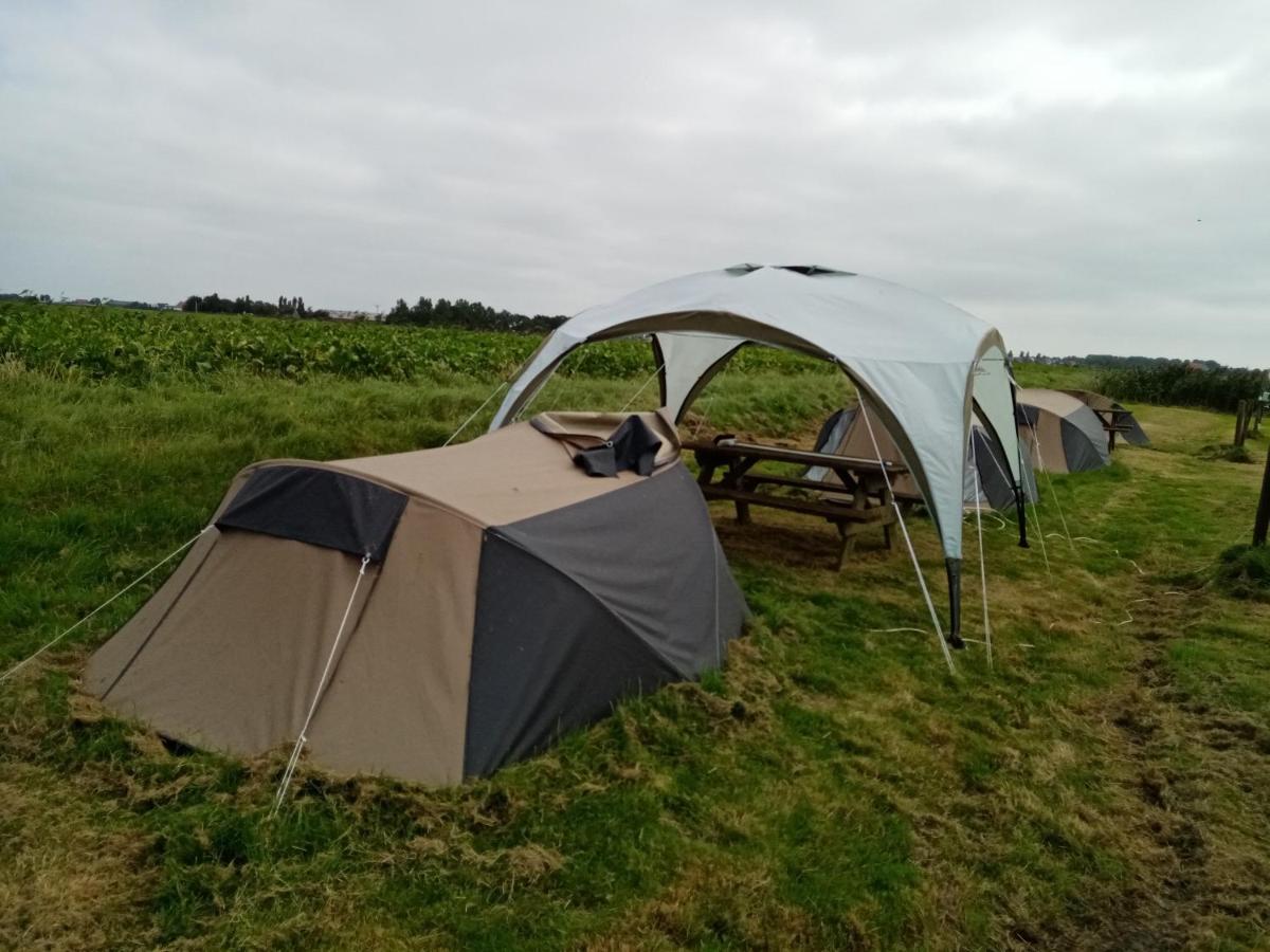Basic 2P Tent Sotterum Hotel Kornwerd Exterior photo